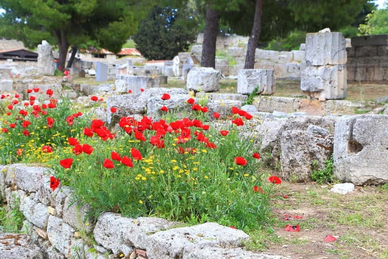 From Athens: Explore Ancient Corinth & Charming Nafplion - Who should book this experience