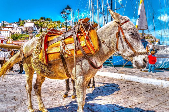 From Athens: Hydra, Poros, and Aegina Day Cruise with Lunch - Three Saronic Islands from Athens in one long day