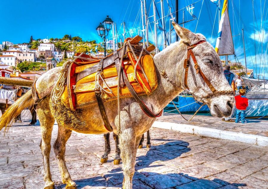 From Athens: Saronic Islands Full-Day Cruise with VIP Seats - Aegina gives you two hours and more choices