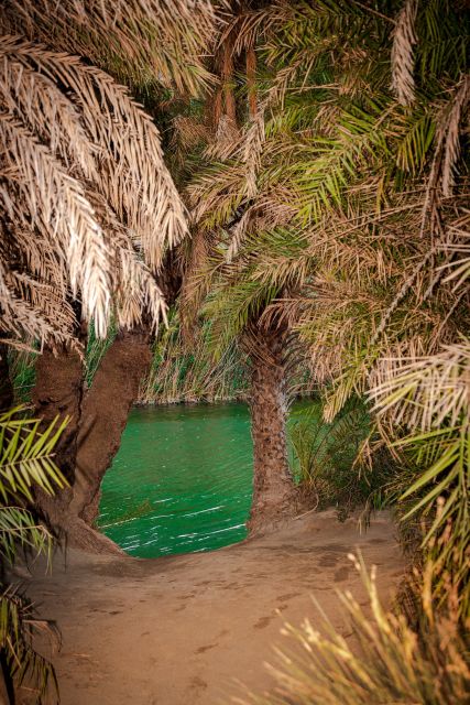 From Chania: Day Trip to Preveli Beach & Damnoni Beach - Damnoni Beach: a calm first stop