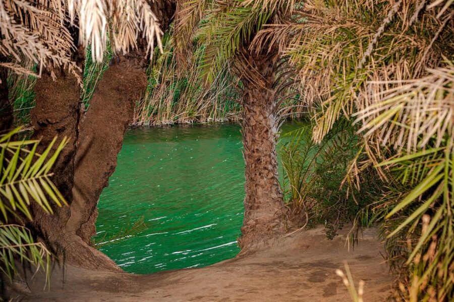 From Chania: Day Trip to Preveli Beach & Damnoni Beach - Plakias gives you a final choice