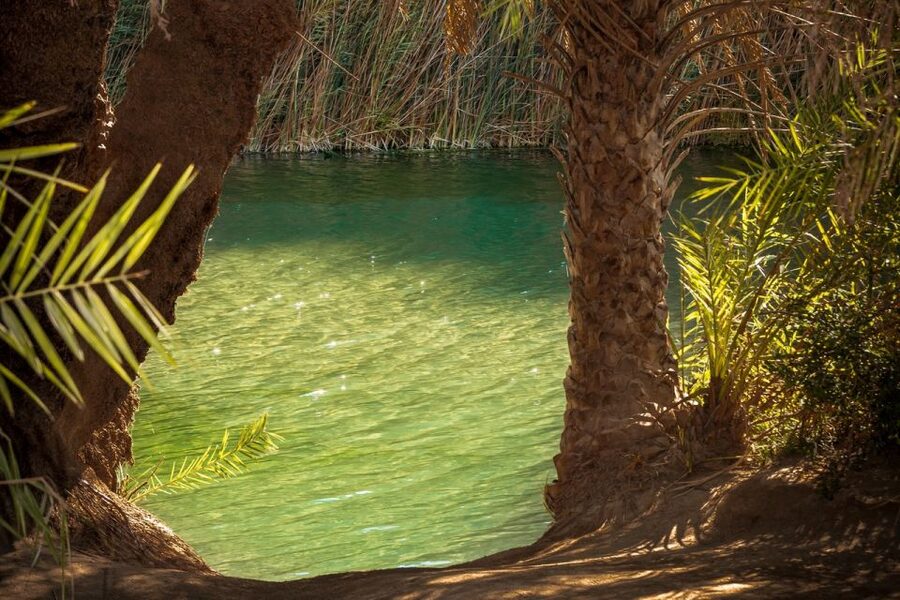 From Chania: Day Trip to Preveli Beach & Damnoni Beach - Is $42 a good value?