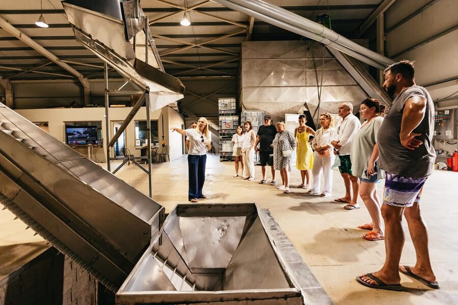 From Chania: Elafonisi and Falasarna Guided Tour with Snacks - Who should book this experience?