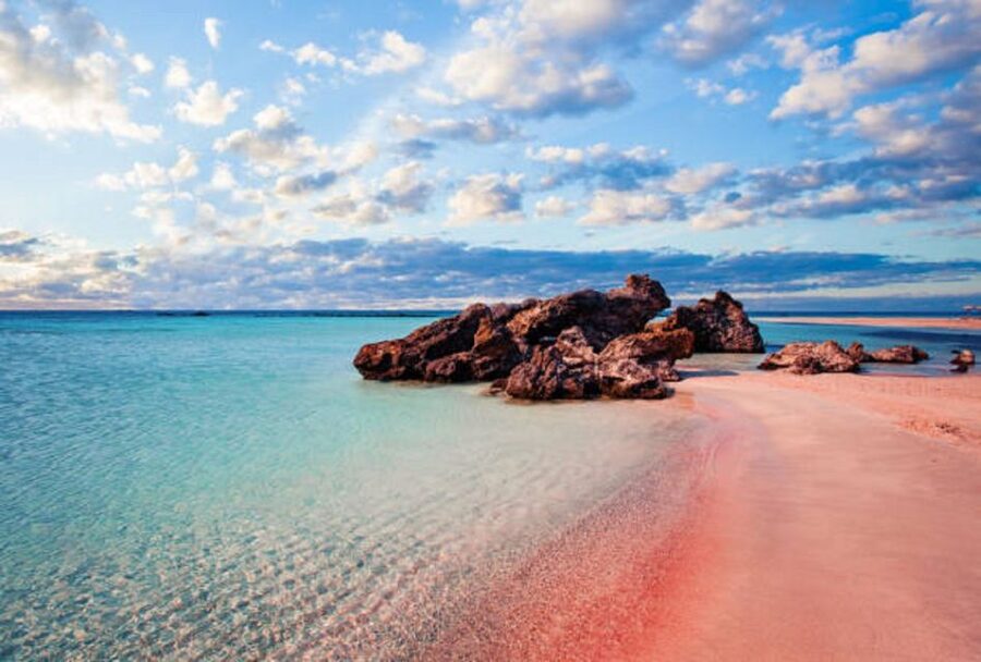 From Chania: Elafonisi Island Day Tour by Bus - Key points to know before booking
