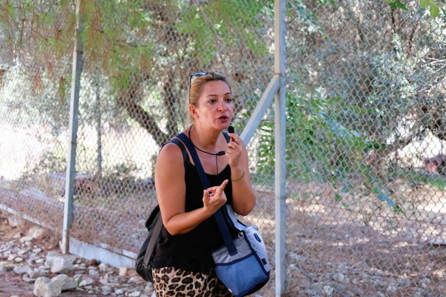 From Chania: Full-Day Heraklion Highlights Guided Tour - What the $112 price really buys you