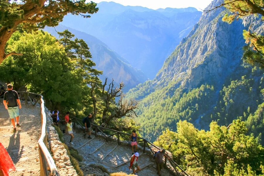 From Chania: Full-Day Samaria Gorge Trek Excursion & Guide - Walking through forest, river, and rock