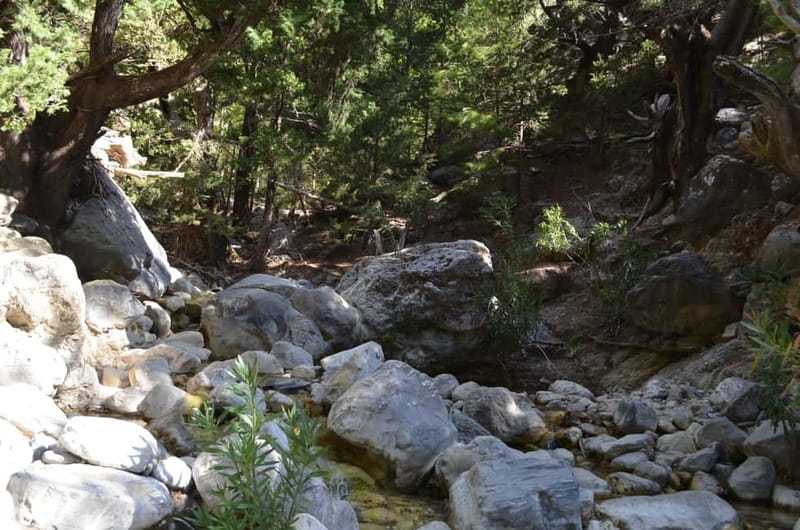 From Chania/Kalyves: Full-Day Samaria Gorge Hiking Day Trip - Who should book this Samaria Gorge tour?