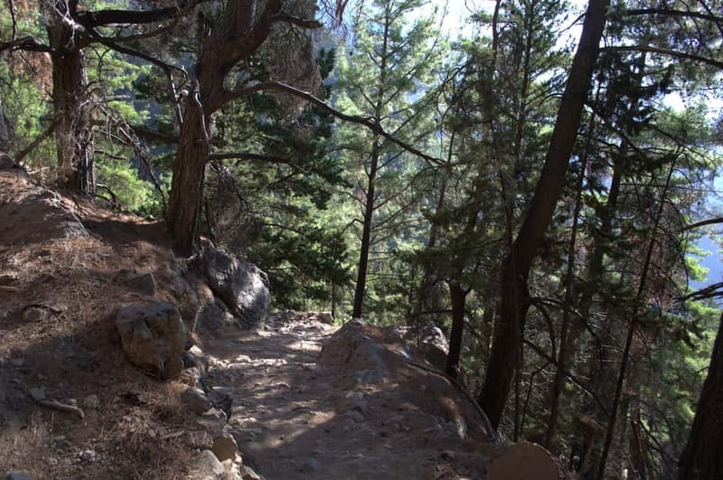 From Chania/Kalyves: Full-Day Samaria Gorge Hiking Day Trip - Plants, rock walls, and the Cretan wild goat