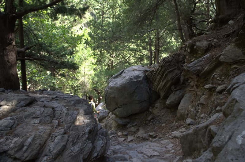 From Chania/Kalyves: Full-Day Samaria Gorge Hiking Day Trip - How the free pace works in practice