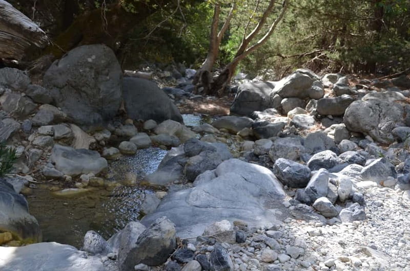 From Chania/Kalyves: Full-Day Samaria Gorge Hiking Day Trip - What to pack, and what to leave behind