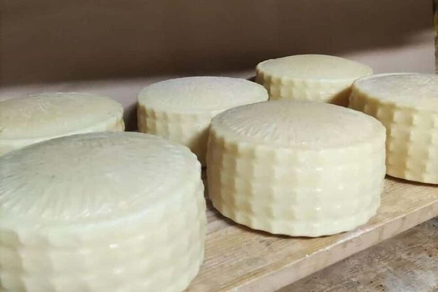 From Chania: Olive Oil, Wine, Cheese & Honey Tasting Tour - Bread and cheese in a local setting