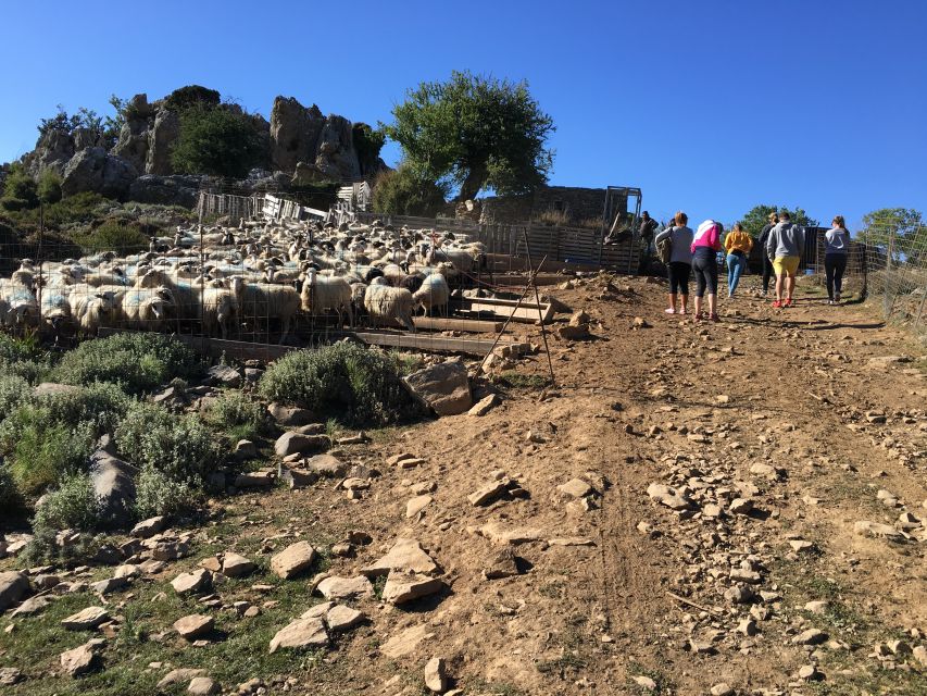 From Chania: White Mountains Land Rover Safari - Therisso village and the three-course lunch