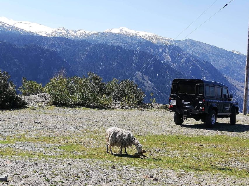 From Chania: White Mountains Land Rover Safari - Coffee, mountain tea, and the first change of pace
