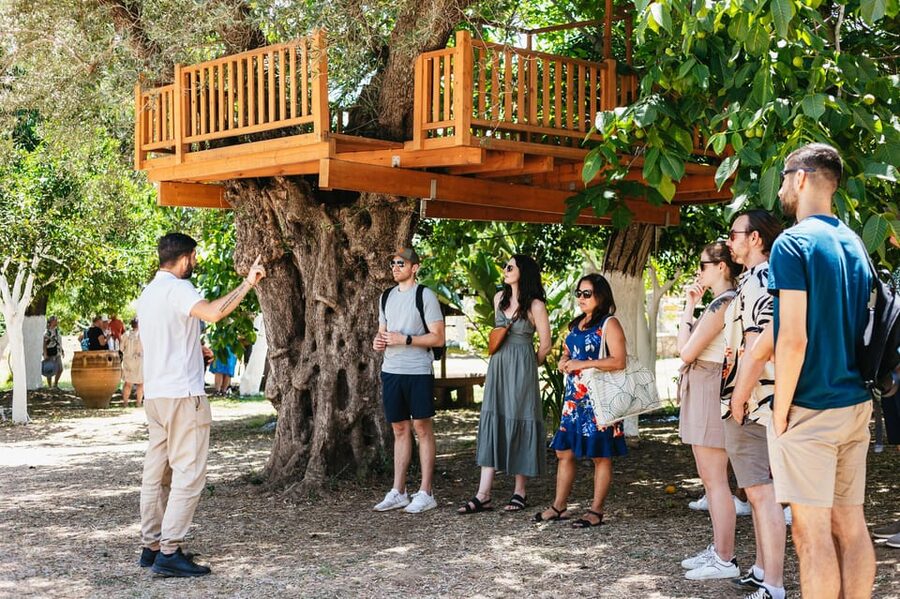 From Chania: Wine and Olive Oil Tasting Tour with Snacks - The ancient olive tree in a traditional village