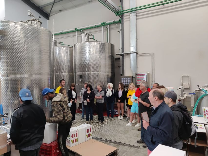 From Heraklion: Matala Beach - Caves & winery Full Day tour - Guides, language, and the human side