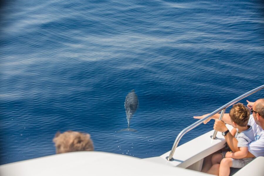 From Lefkimmi: Paxos, Antipaxos & Blue Caves Speedboat Tour - Why this boat trip works well from Corfu