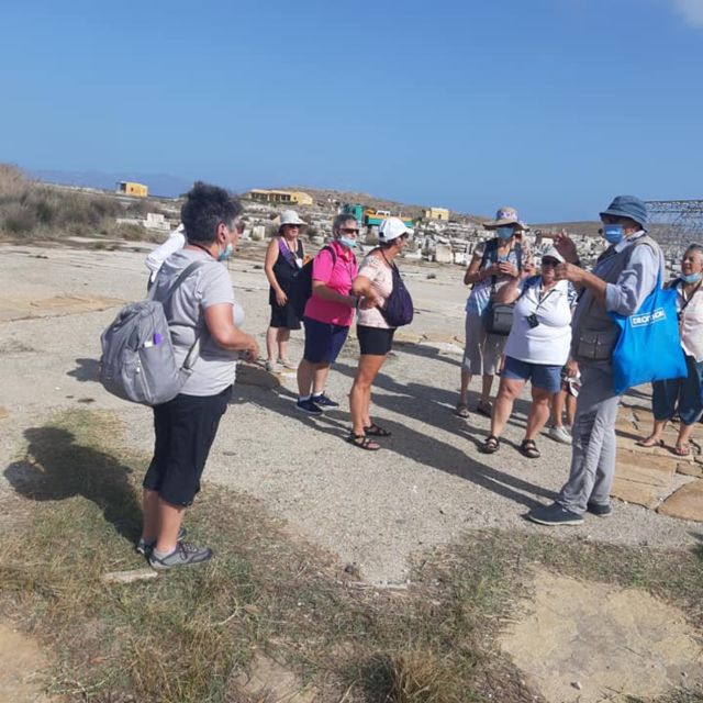 From Mykonos: Ancient Delos Tour - Practical advice for a smoother morning