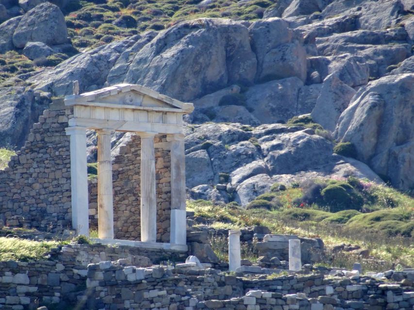 From Mykonos: Ancient Delos Tour - Walking the ancient city for about 90 minutes
