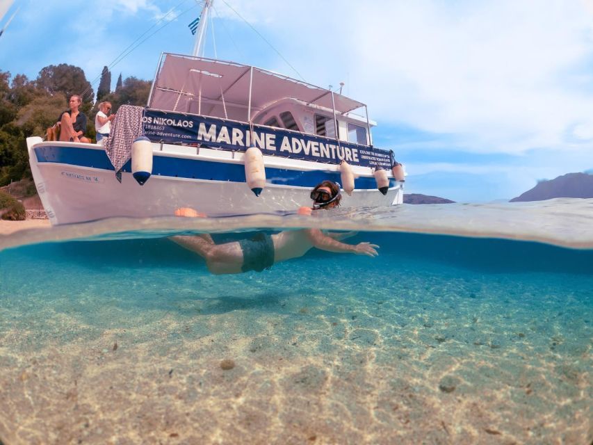 From Nidri: Marine Wildlife Cruise with Lunch and Swim Stops - Why the small boat matters on the east coast