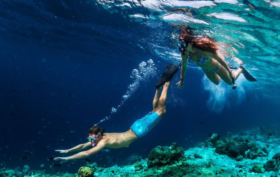 From Nidri: Marine Wildlife Cruise with Lunch and Swim Stops - What to bring and how to prepare