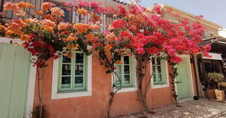 From Nydri: Boat to Kefalonia and Ithaki with Swim Stops - Who will enjoy this cruise most