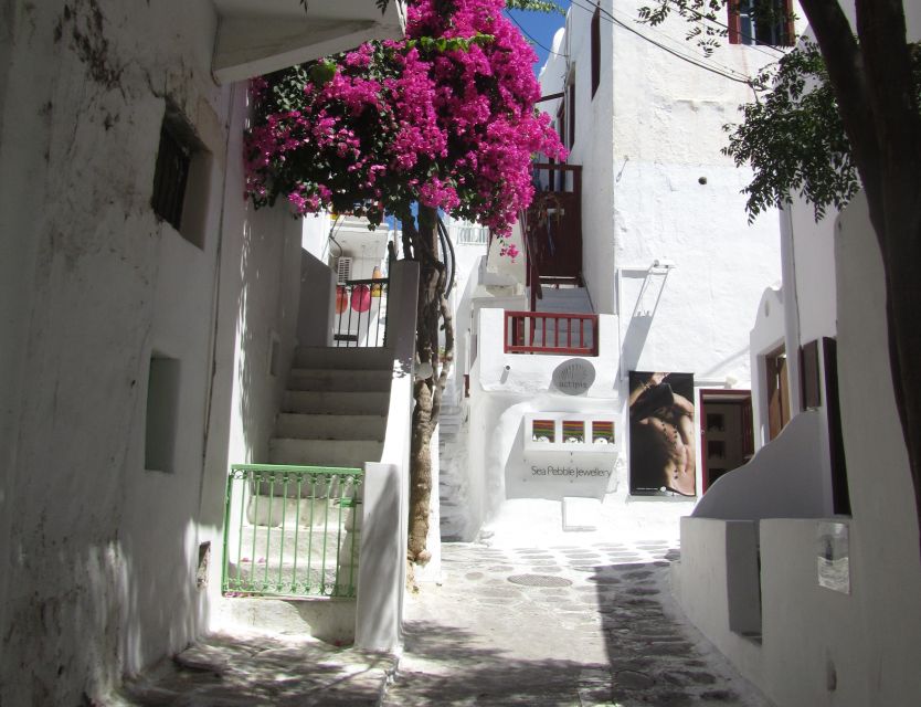 From Paros: Delos and Mykonos Full-Day Boat Trip - The ferry from Delos to Mykonos