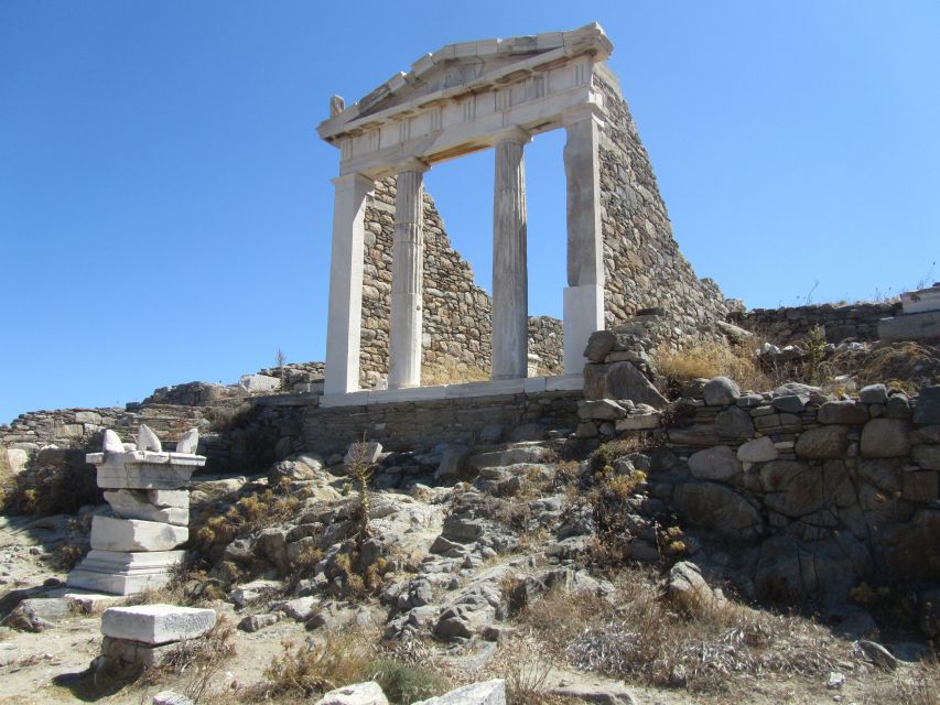 From Paros: Delos and Mykonos Full-Day Boat Trip - Who should book this trip