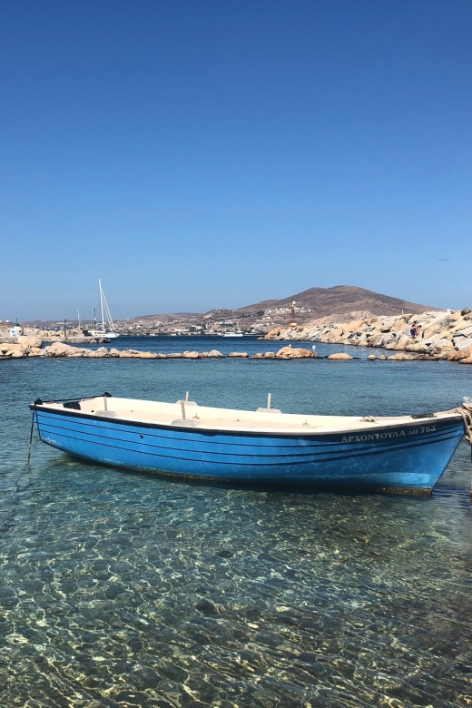 From Paros: Mykonos Full-Day Trip by Catamaran - Shopping, galleries, coffee, and lunch