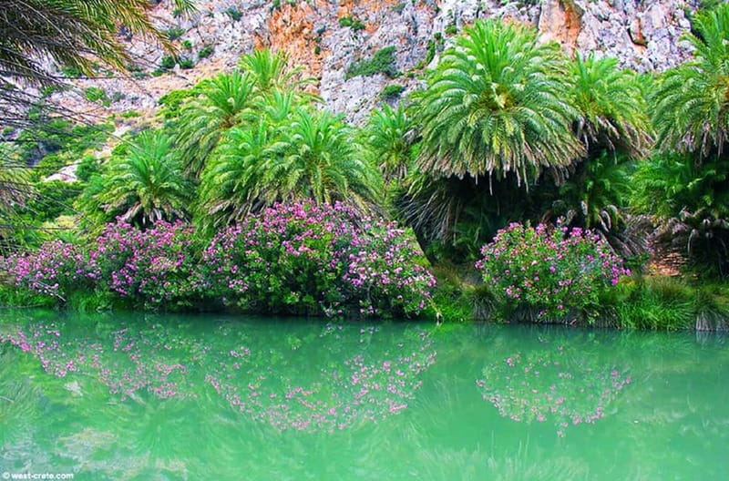 From Rethymno/Chania: Day Trip to Preveli Palm Beach - Practical packing advice for Preveli