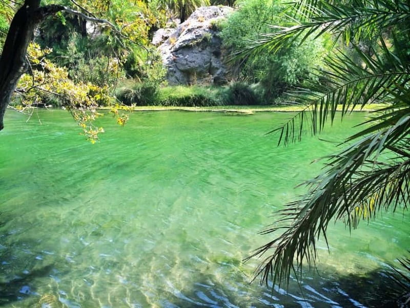 From Rethymno/Chania: Day Trip to Preveli Palm Beach - Who will enjoy this Crete excursion most