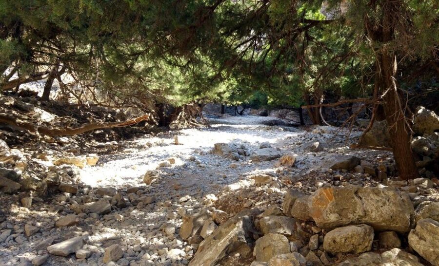 From Rethymno/Chania: Imbros Gorge Hike - Why Imbros Gorge is a smart Crete hiking choice