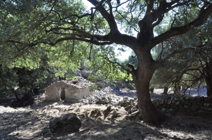 From Rethymno/Chania: Imbros Gorge Hike - Reaching the coast after the gorge