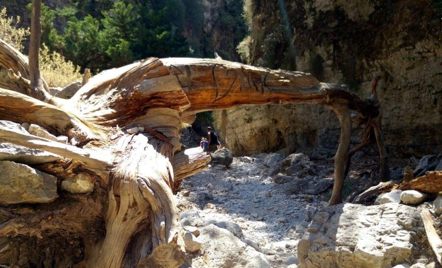 From Rethymno/Chania: Imbros Gorge Hike - Who should book this Imbros Gorge day trip?