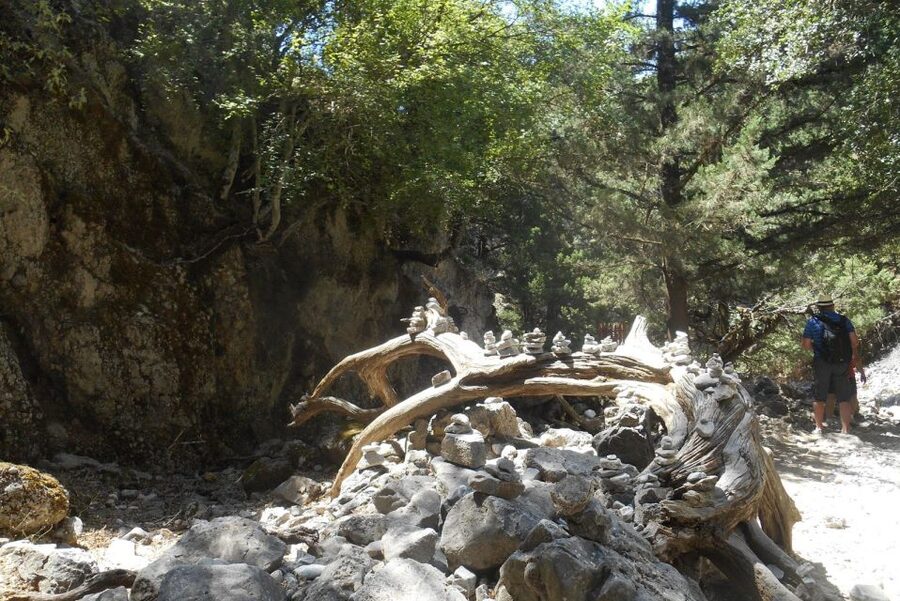 From Rethymno/Chania: Imbros Gorge Hike - The morning drive through the White Mountains