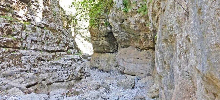 From Rethymno: Imbros Gorge & Libyan Guided Sea Tour - Who will enjoy this day most