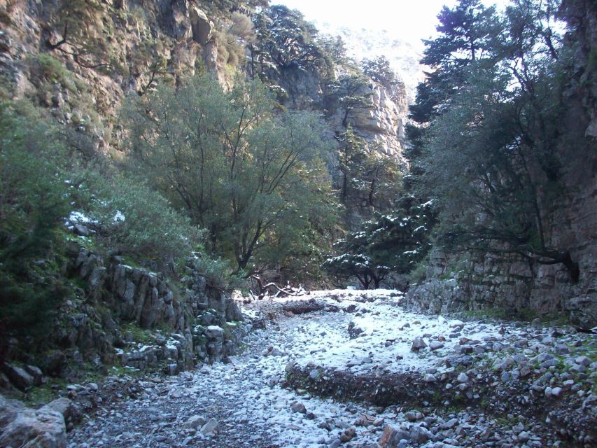 From Rethymno: Imbros Gorge & Libyan Guided Sea Tour - Why Imbros Gorge is a good Crete day trip
