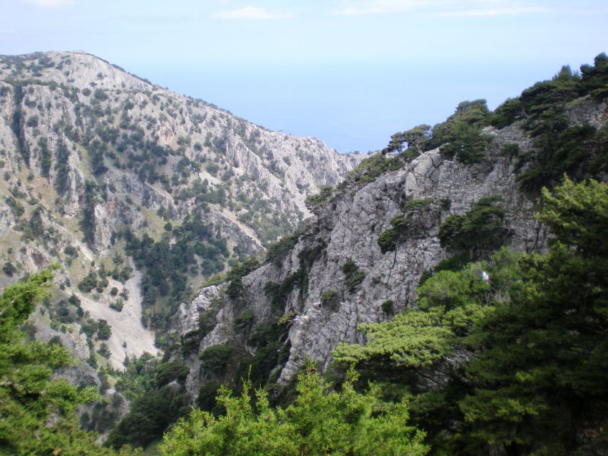 From Rethymno: Imbros Gorge & Libyan Guided Sea Tour - Stenada, Mesofarango, and Xepitira Arch