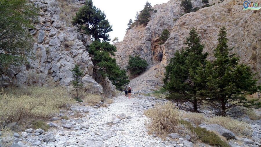 From Rethymno: Imbros Gorge & Libyan Guided Sea Tour - Reaching Komitades after the walk