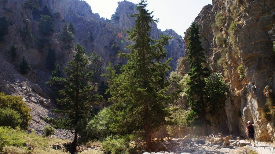 From Rethymno: Imbros Gorge & Libyan Guided Sea Tour - Chora Sfakion and the south-coast pause