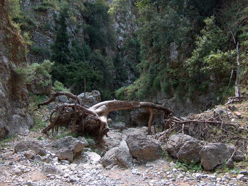 From Rethymno: Imbros Gorge & Libyan Guided Sea Tour - Swimming in the Libyan Sea