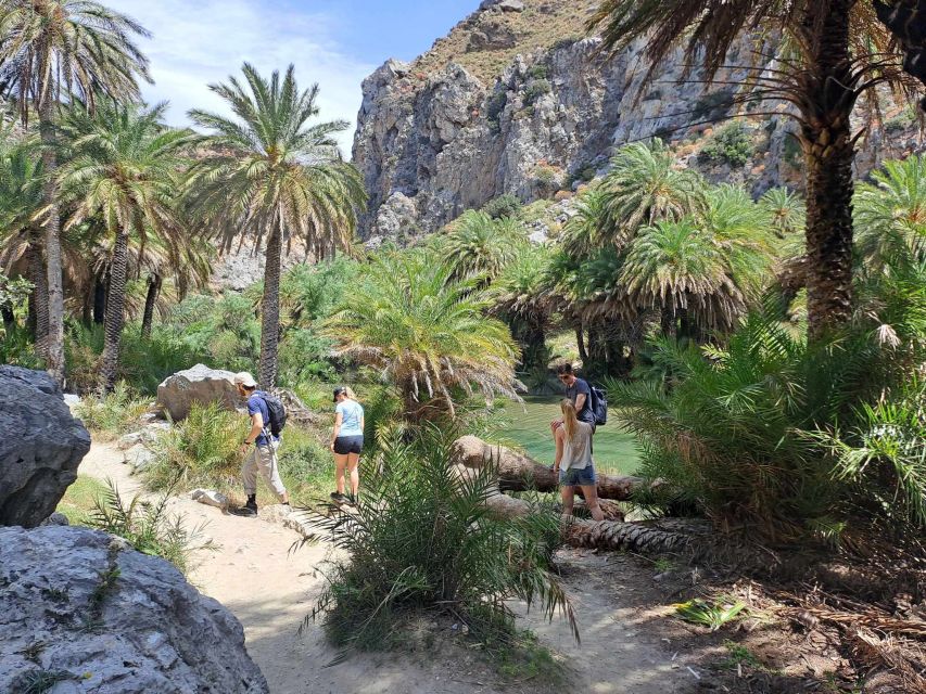 From Rethymno: Kourtaliotiko, Preveli Palm Beach, & Damnoni - Who should book this experience?