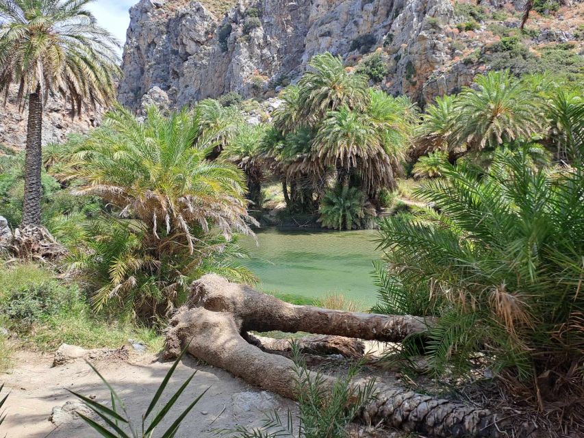 From Rethymno: Kourtaliotiko, Preveli Palm Beach, & Damnoni - A short look at Plakias