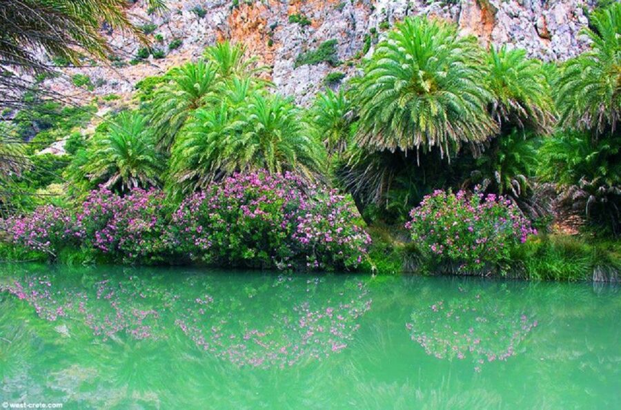From Rethymno: Preveli Palm Beach and Kourtaliotiko Day Trip - The boat from Damnoni to Preveli