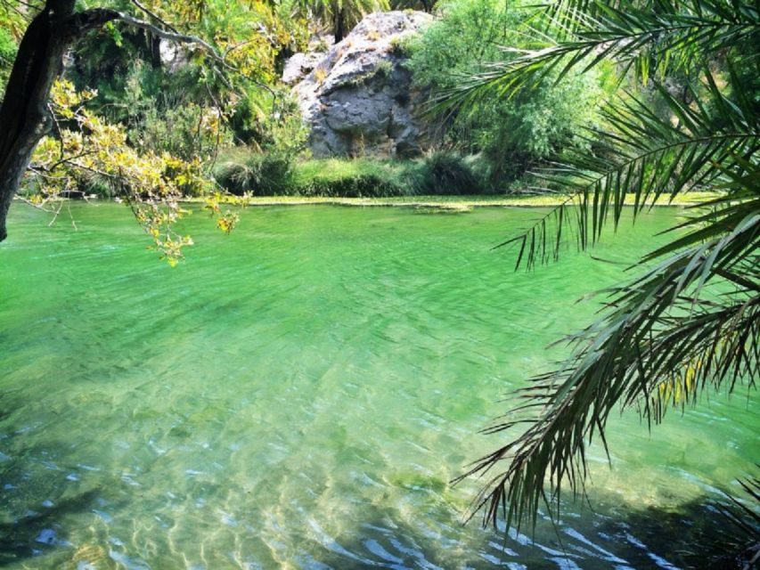 From Rethymno: Preveli Palm Beach and Kourtaliotiko Day Trip - Damnoni, lunch, and the day’s flexible middle stop