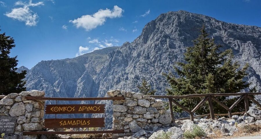 From Rethymno: Samaria Gorge Full-Day Trek, Pickup & Guide - The ferry from Agia Roumeli to Sfakia