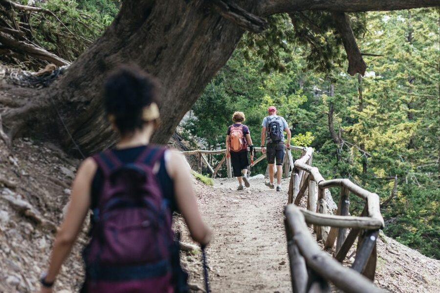 From Rethymno: Samaria Gorge Full-Day Trek, Pickup & Guide - Who should book this hike