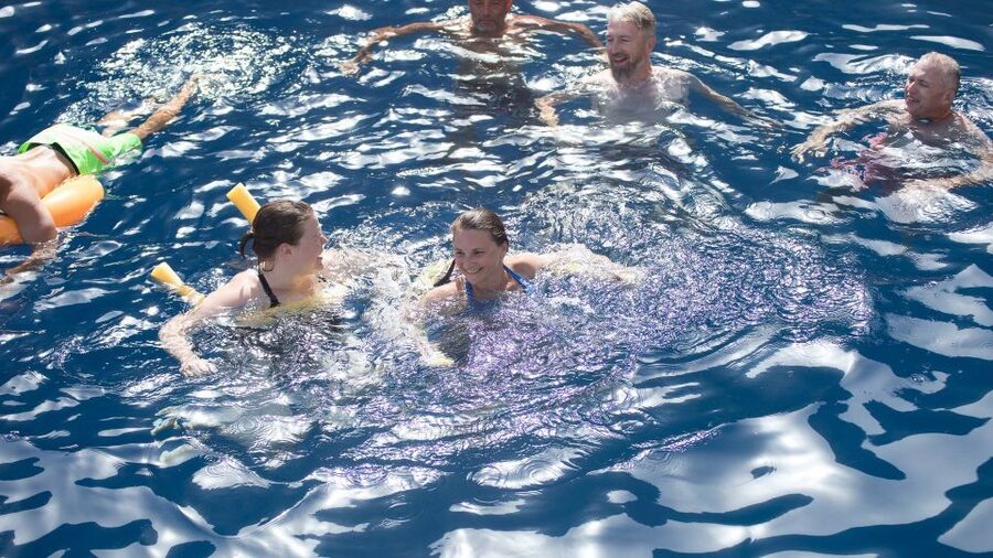 From Rhodes: Cruise to Symi Island and Saint George's Bay - Crew, comfort, and the practical details