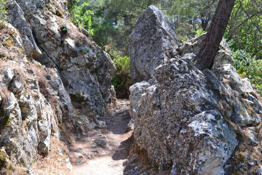 From Rhodes: Lindos and 7 Springs Valley Bus Tour - A practical plan for your four hours in Lindos