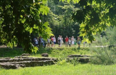Day Trip to Dion and Mount Olympus Park
