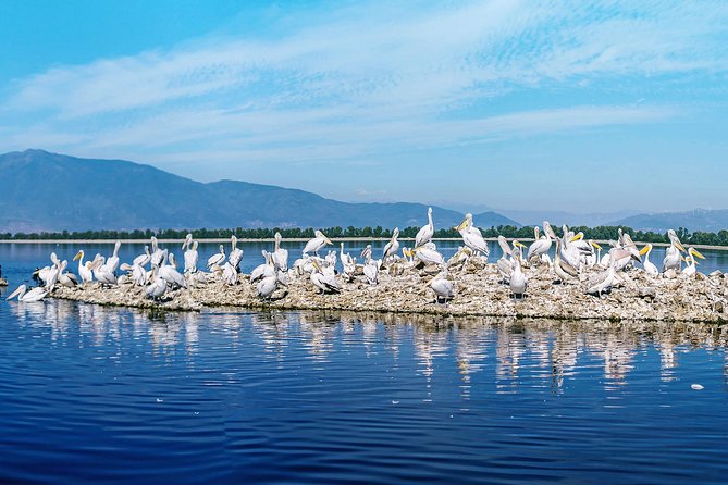 From Thessaloniki: Private Day Trip to Kerkini Lake - Coffee, buffalo, and the rural side of the trip